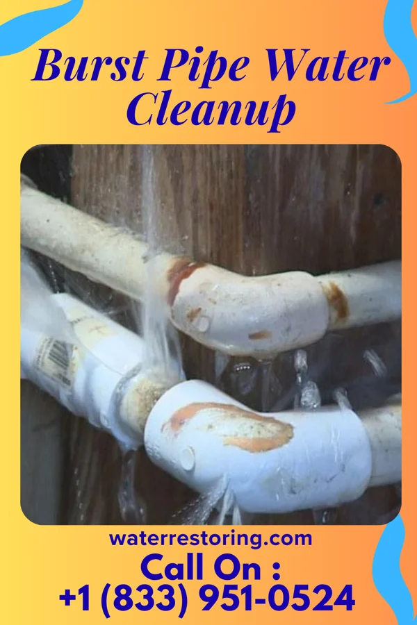 Burst Pipe Water Cleanup in Whitten, IA