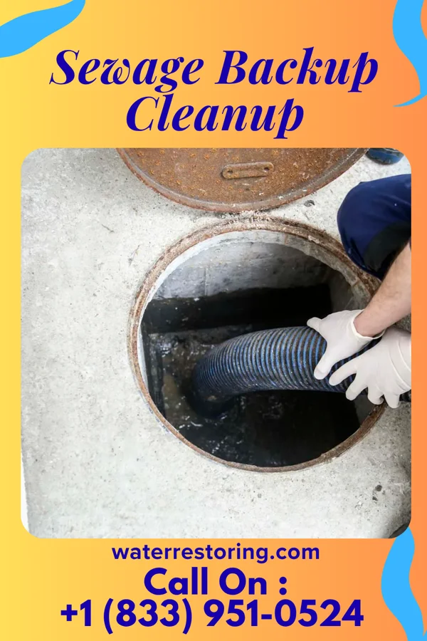 Sewage Backup Cleanup in Whitten, IA